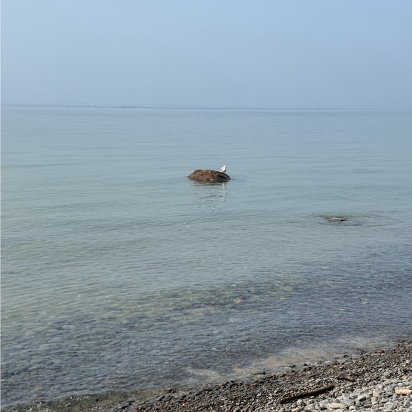 bendorrah_01